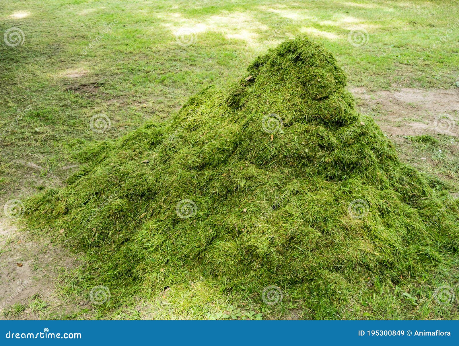 Green Waste Grass Heap in a Park Stock Image Image of park, area