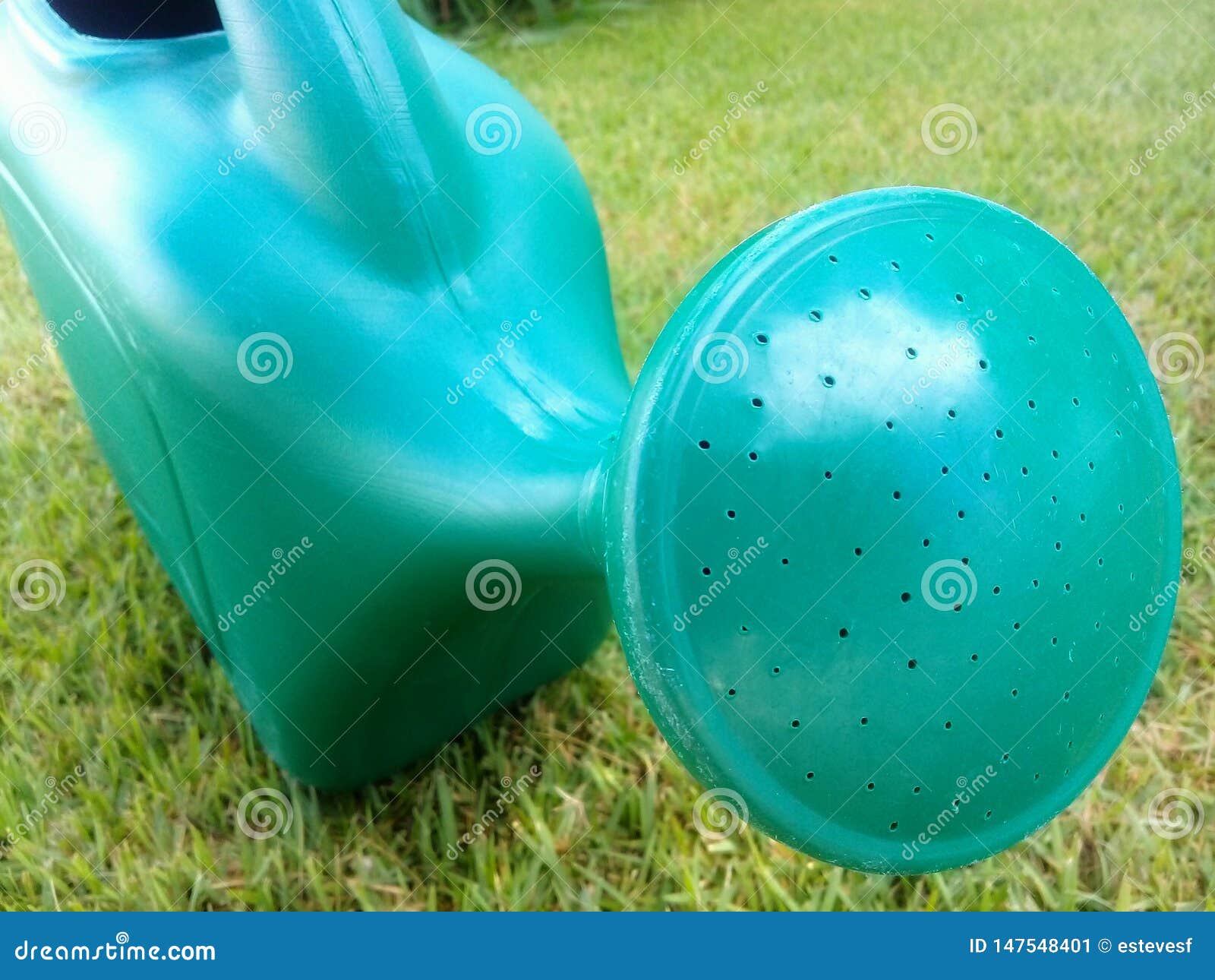 Green Watering Can on Grass Stock Image Image of nature, color 147548401