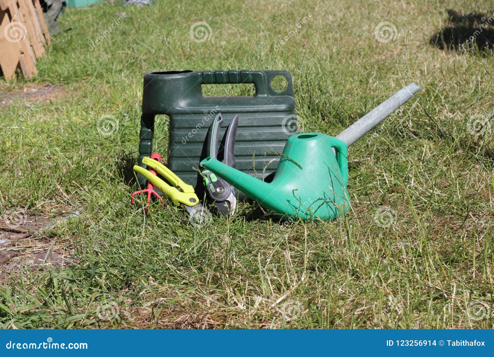 Selection of Everyday Gardening Tools Stock Photo Image of everyday