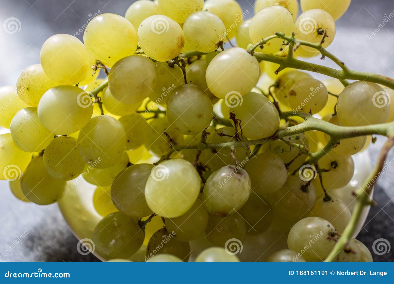 Green wine grapes stock image. Image of tasty, nutritious 188161191