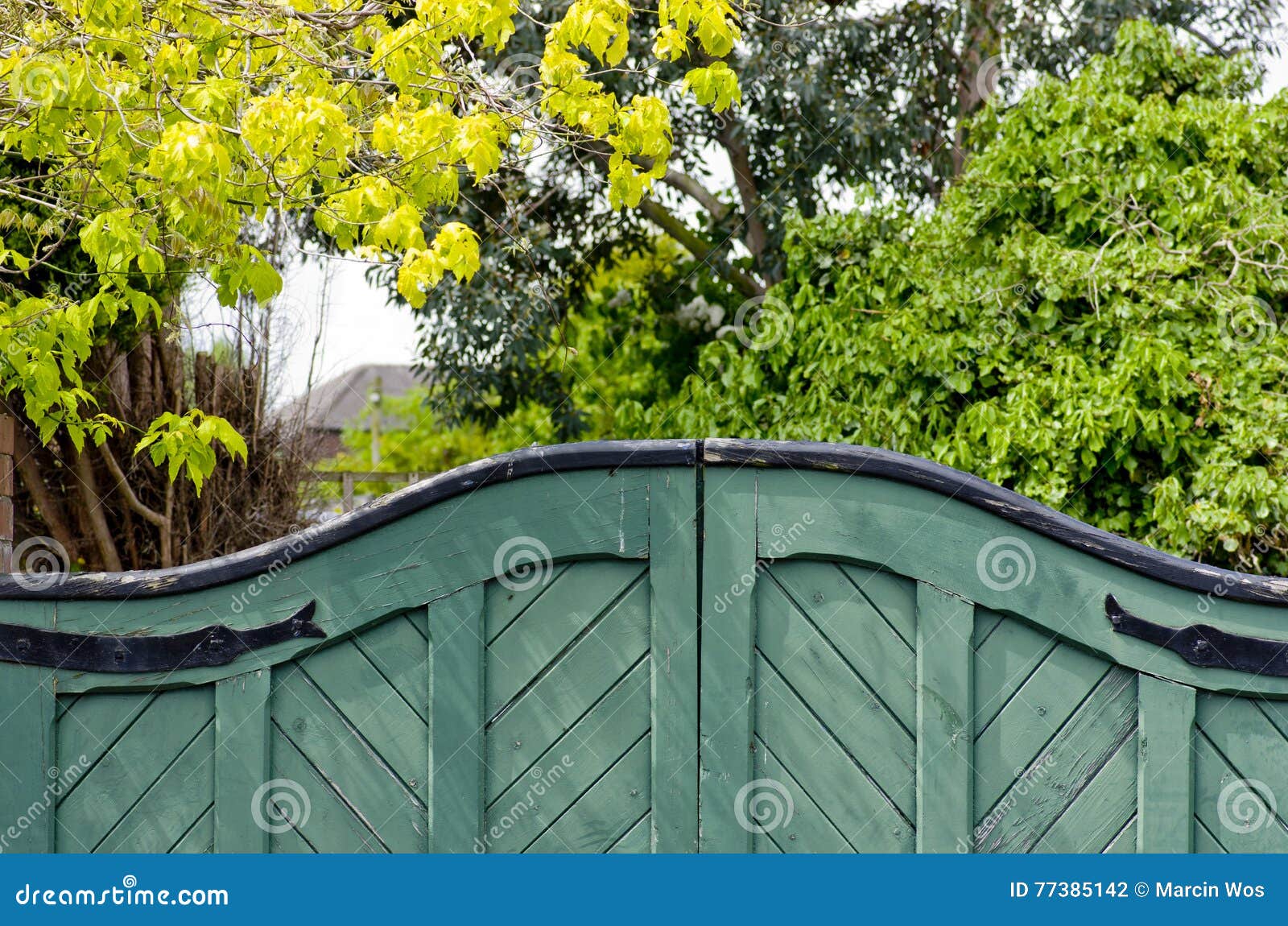 Green wooden gates stock photo. Image of grass, metal 77385142