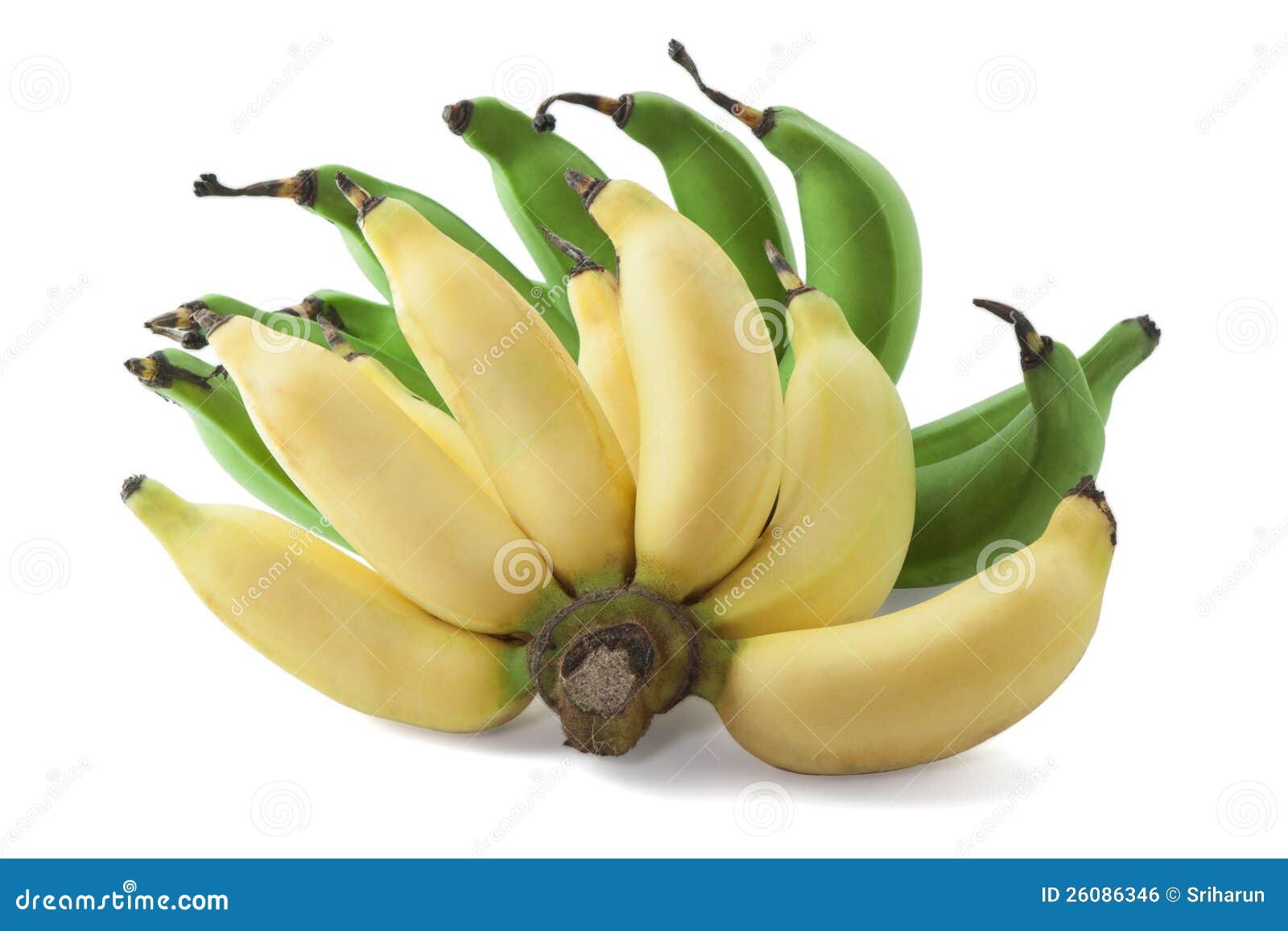 Green and yellow banana stock photo. Image of musa, refreshment 26086346