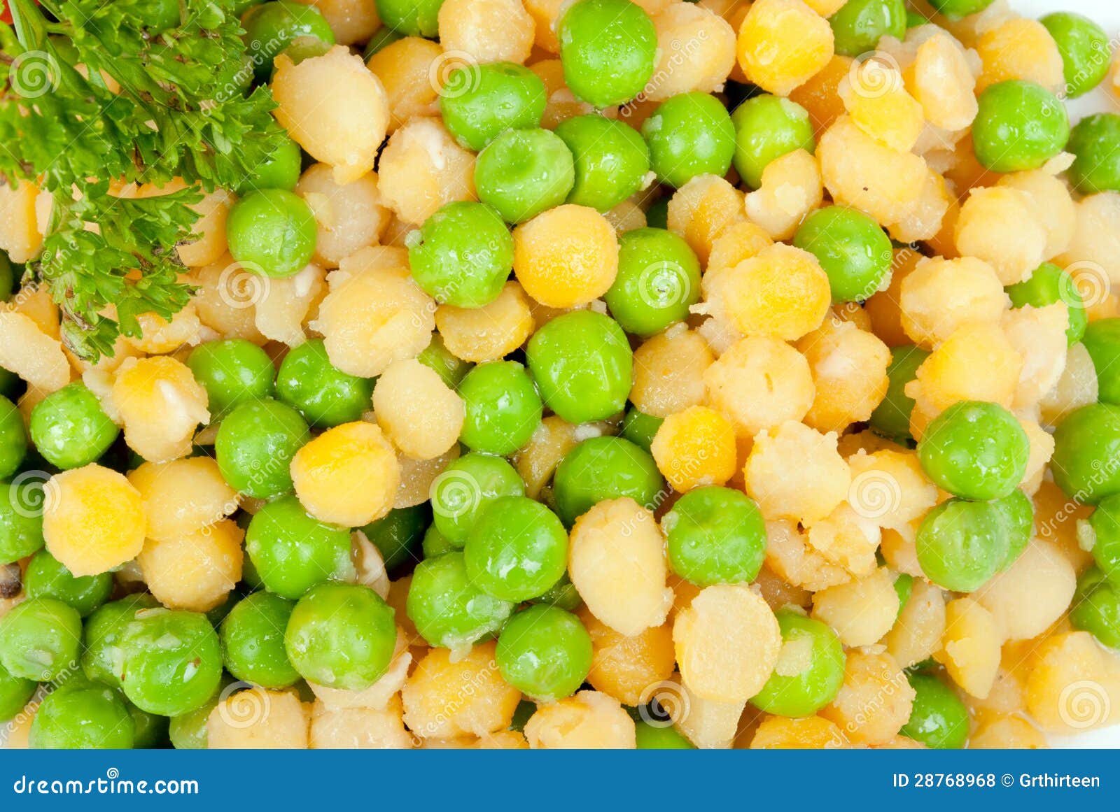 Green and yellow beans stock photo. Image of white, food 28768968