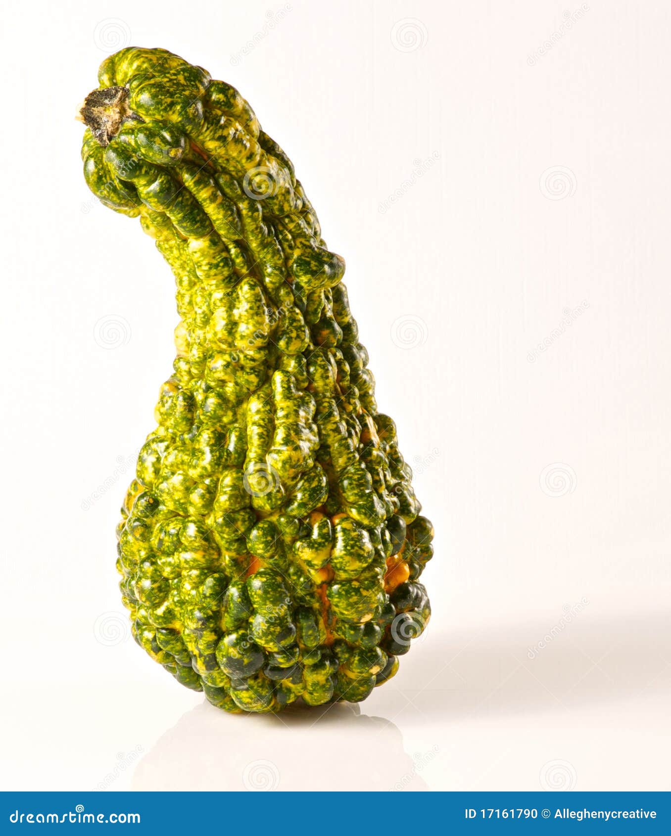 Green and Yellow Gourd stock photo. Image of background 17161790