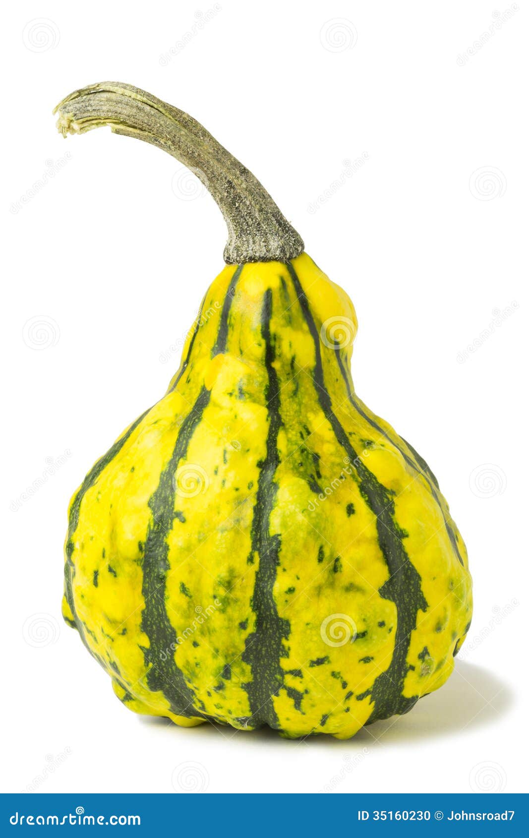 Green & Yellow Gourd stock photo. Image of thanksgiving 35160230