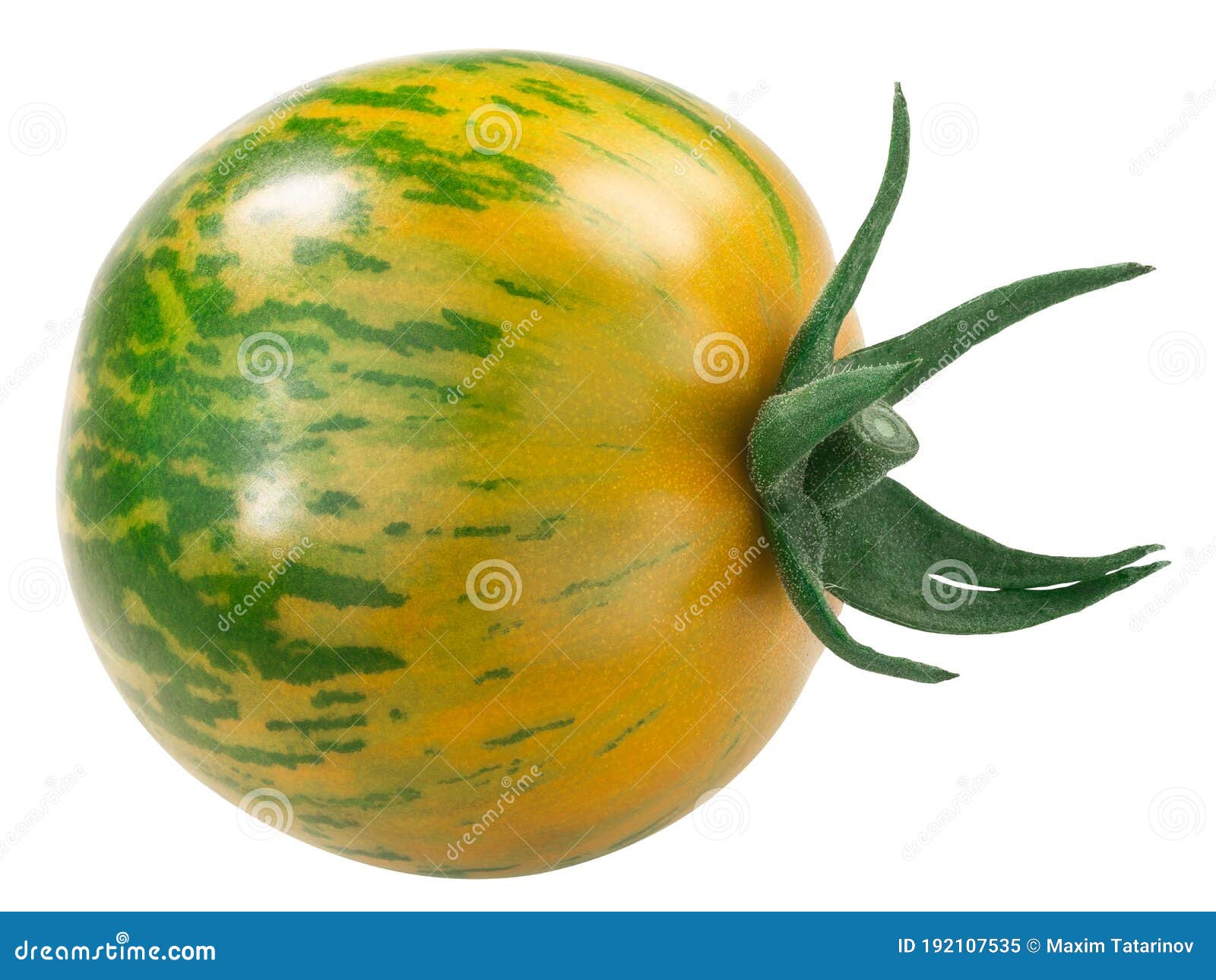 Green Zebra Heirloom Barred Tomato, Isolated Stock Image Image of