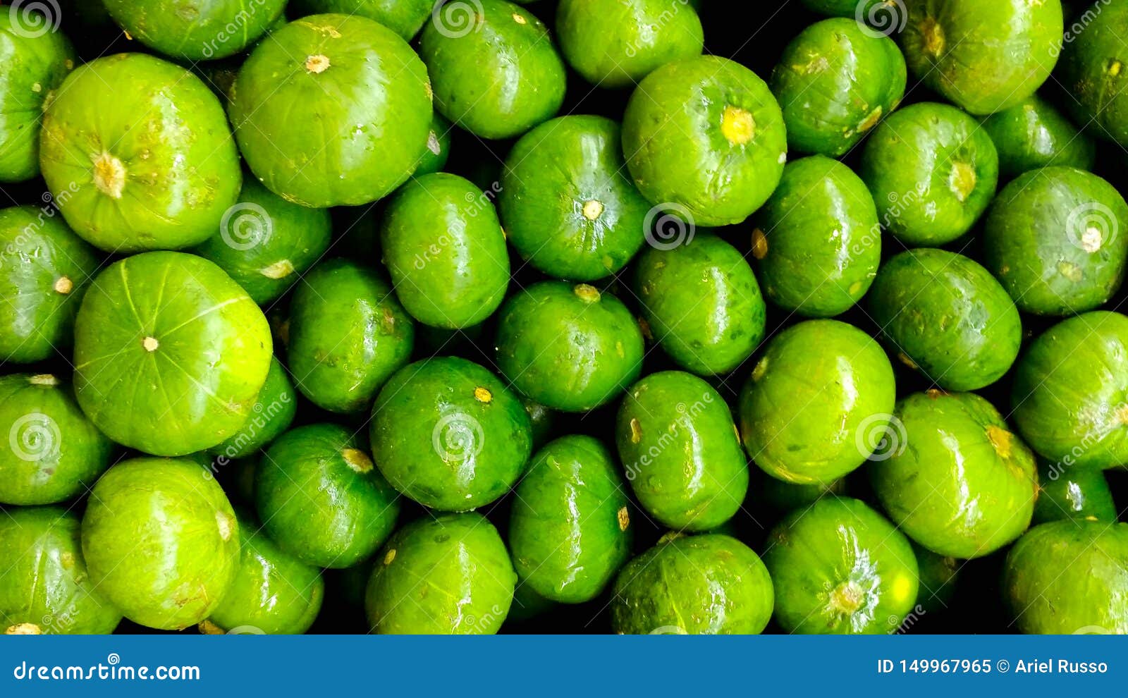 green zucchini to prepare healthy dishes.