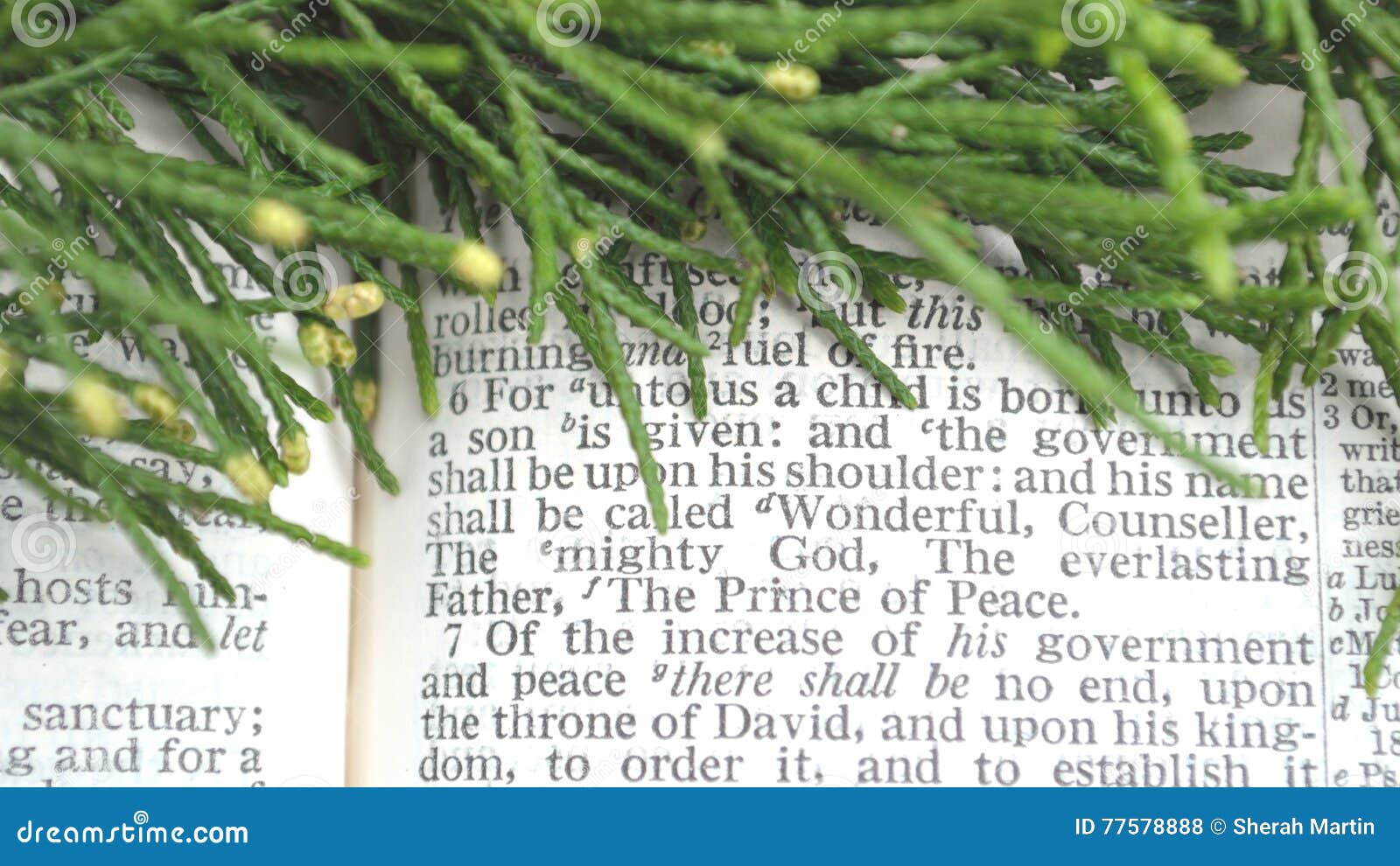 greenery with christmas scripture, isaiah 9:6