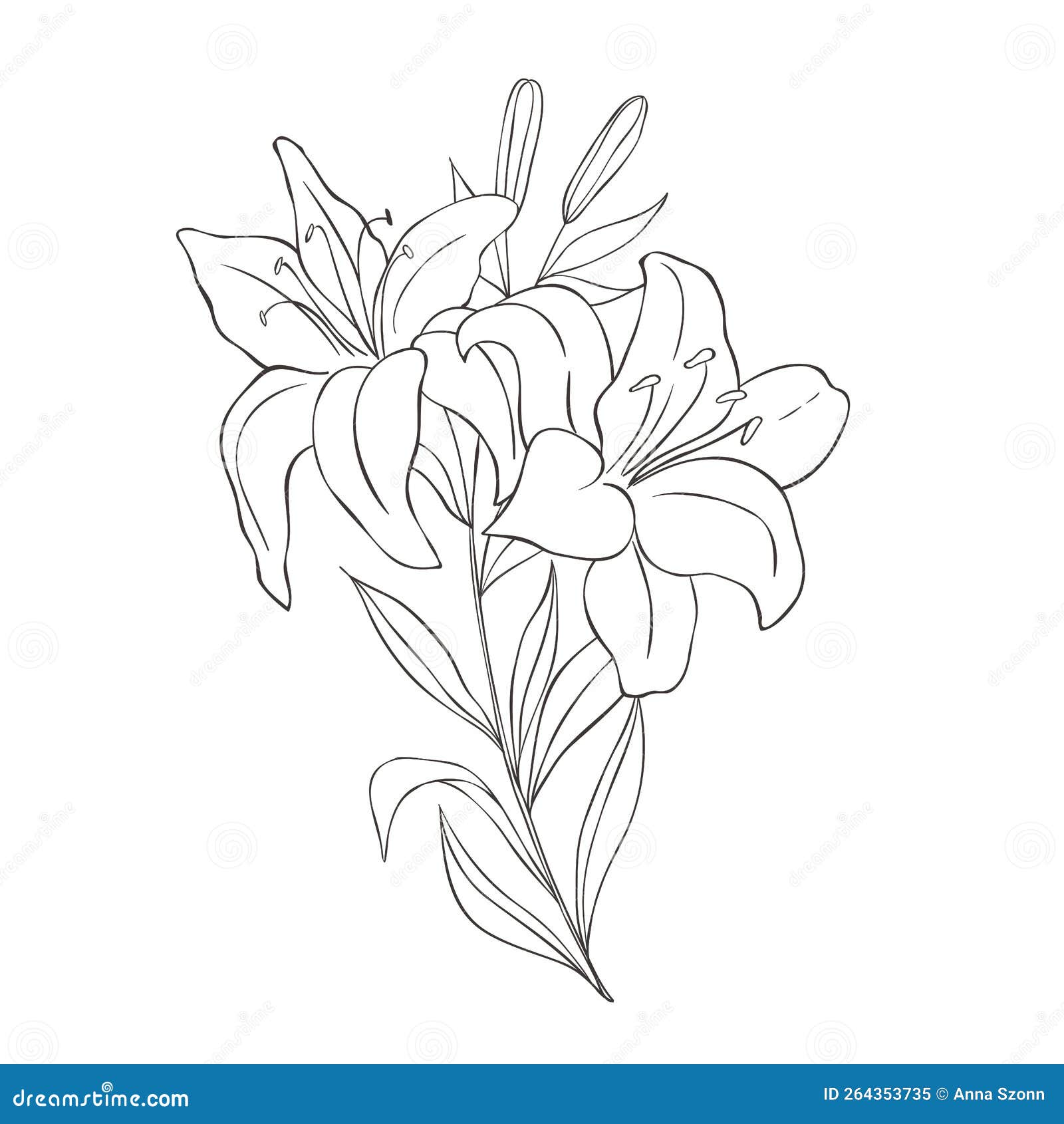 Greenery Design Elements. Botanical Logos. Stock Illustration ...