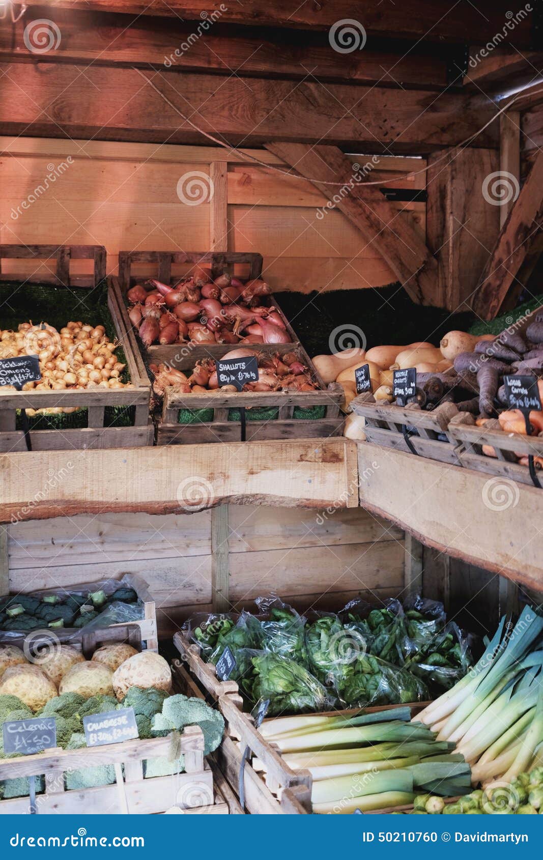 Greengrocers stock photo. Image of fresh, vegetable, organic 50210760