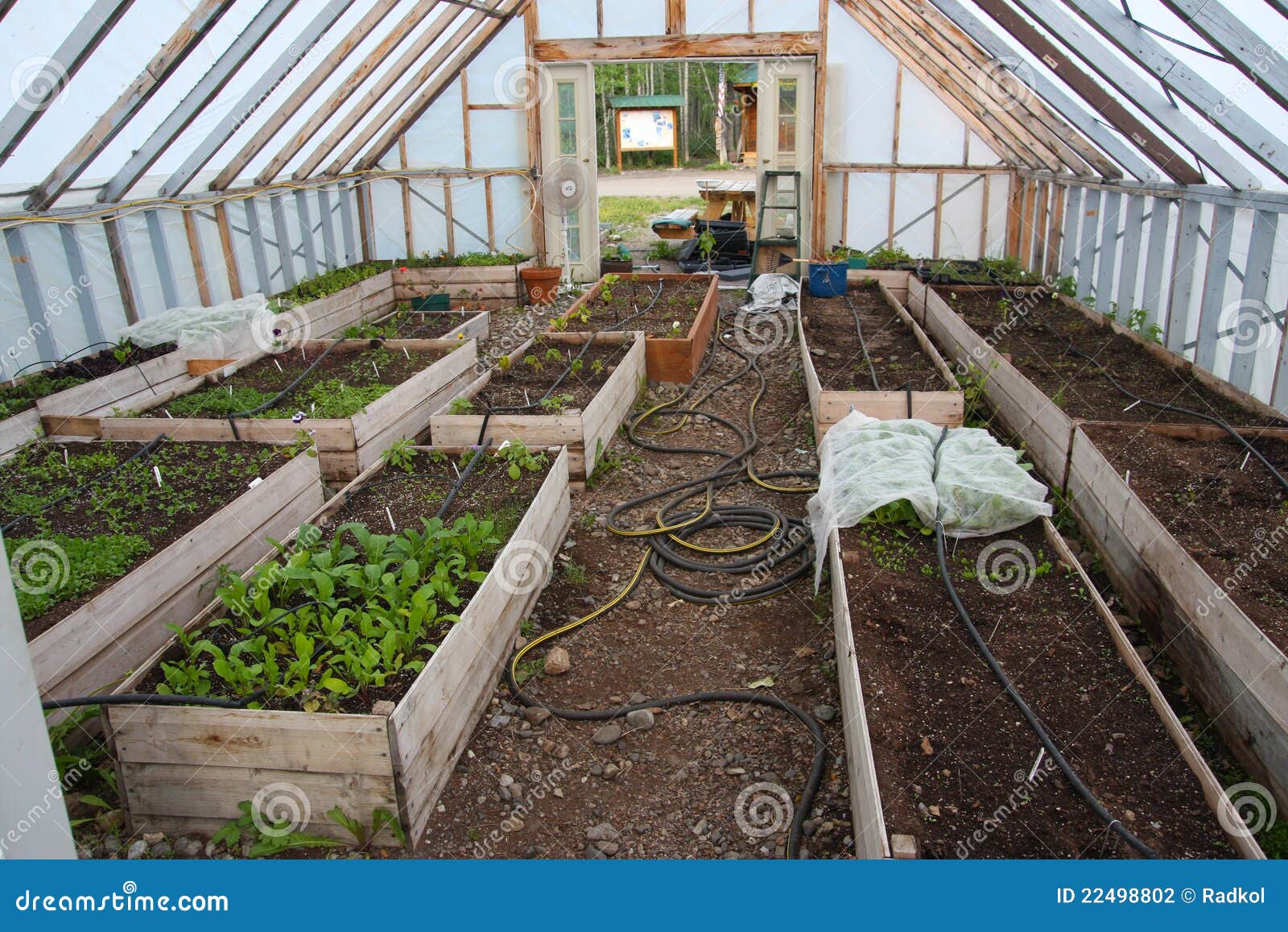 Greenhouse stock photo. Image of garden, nutrient, alaska 22498802