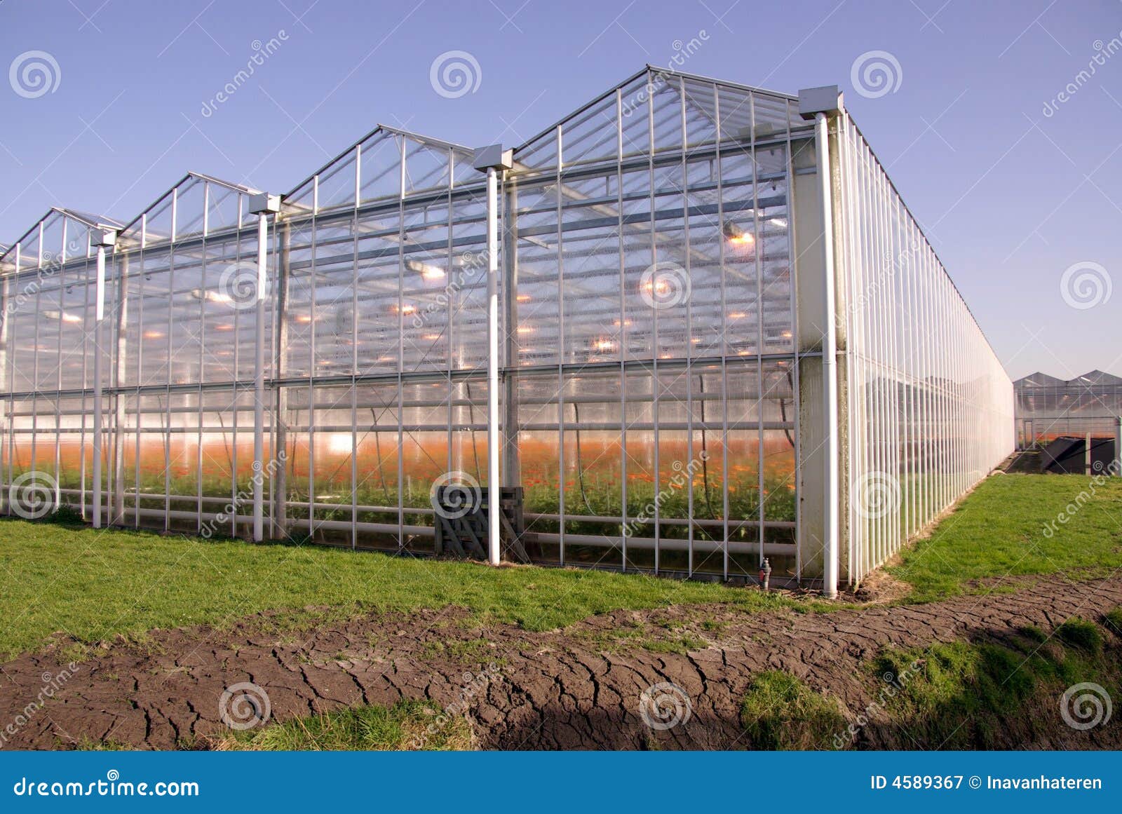 Greenhouse stock image. Image of grow, houses, moistness 4589367