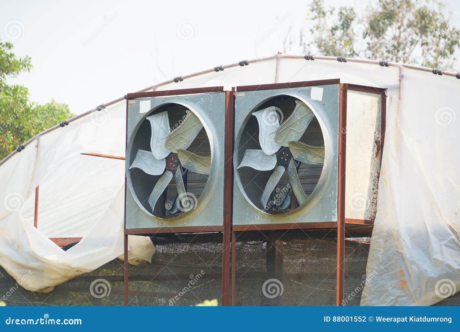 Greenhouse Air Circulation and Ventilation Stock Photo Image of green