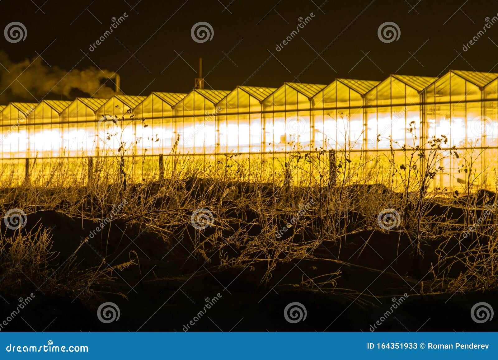 Greenhouse Amarillo Resplandeciente De Noche Imagen de archivo Imagen