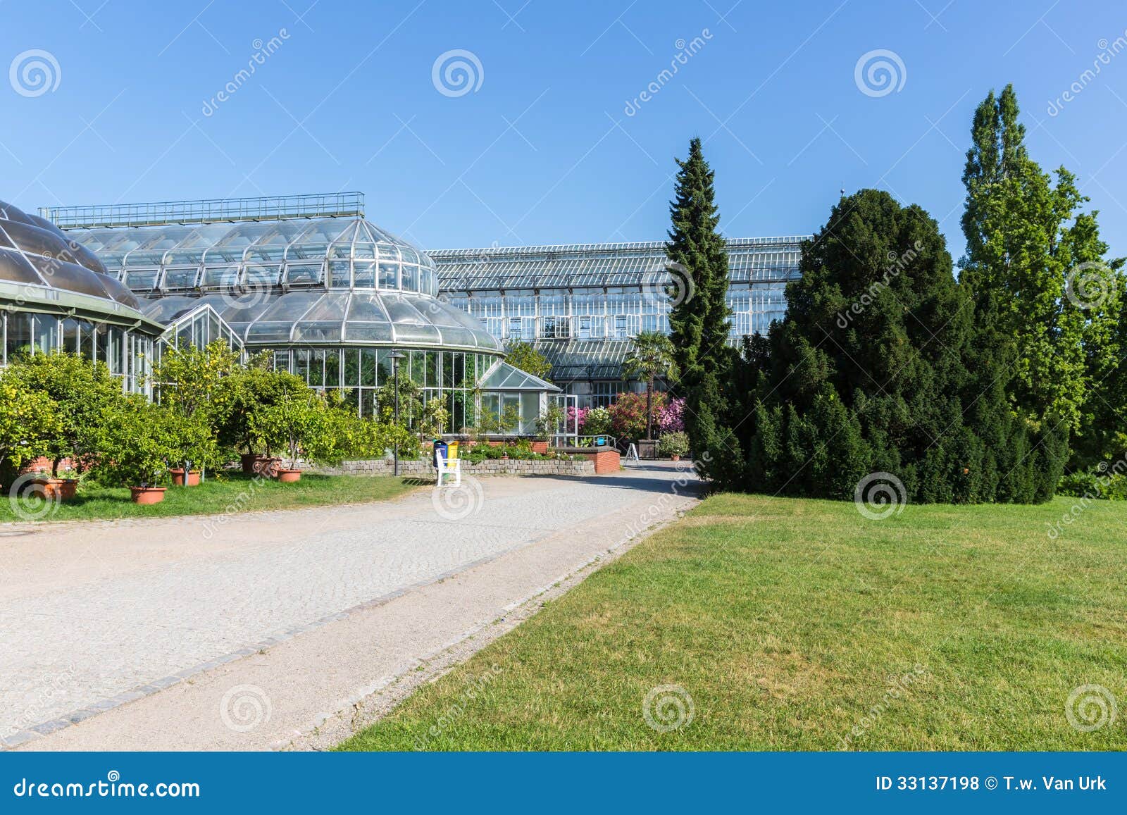 Greenhouse in the Botanical Garden of Berlin Stock Photo Image of