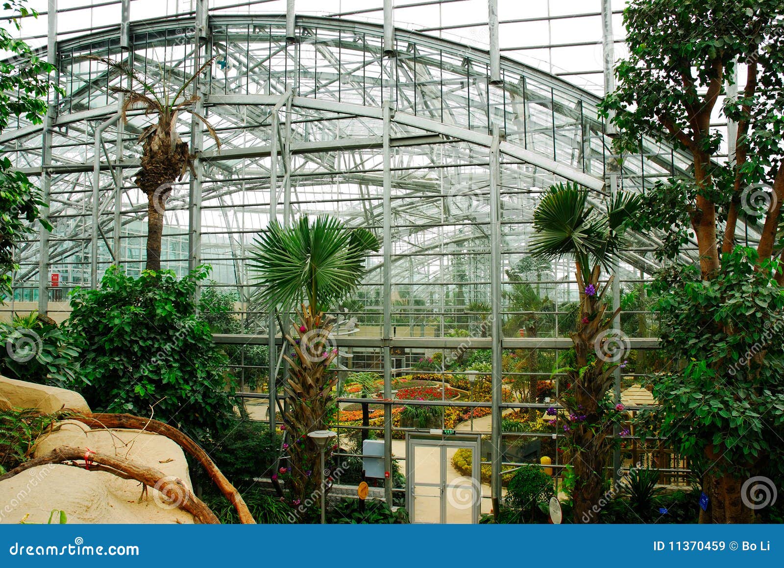 Greenhouse_C imagen de archivo. Imagen de amarillo, crezca 11370459