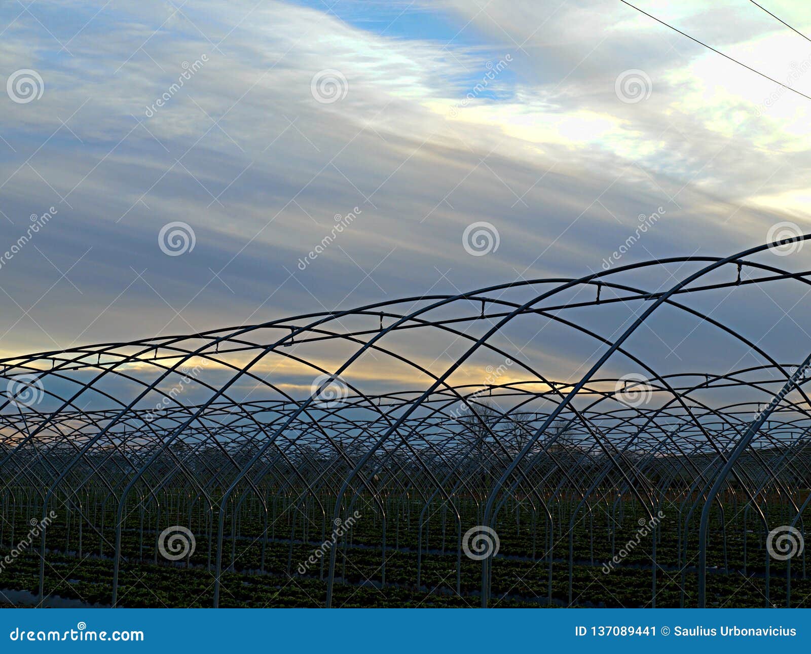 Greenhouse Frame in the Rays of the Setting Sun Stock Image - Image of