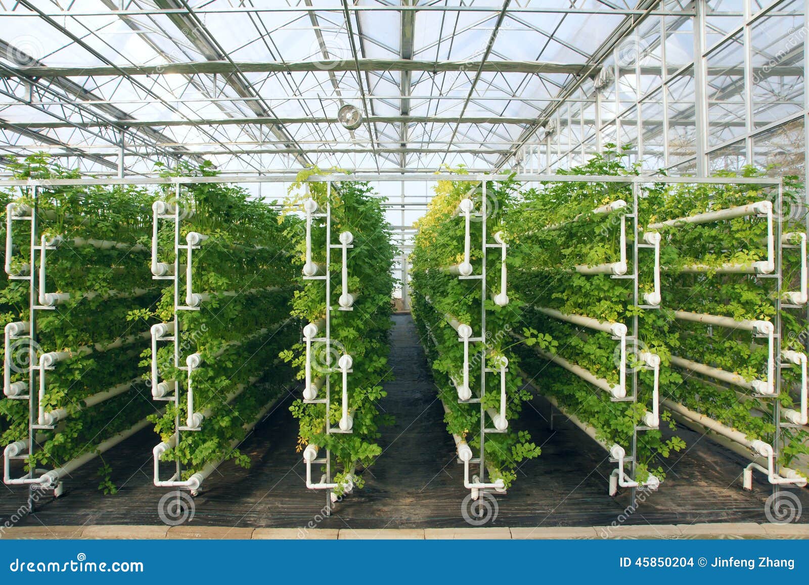 Greenhouse Stock Photo - Image: 45850204