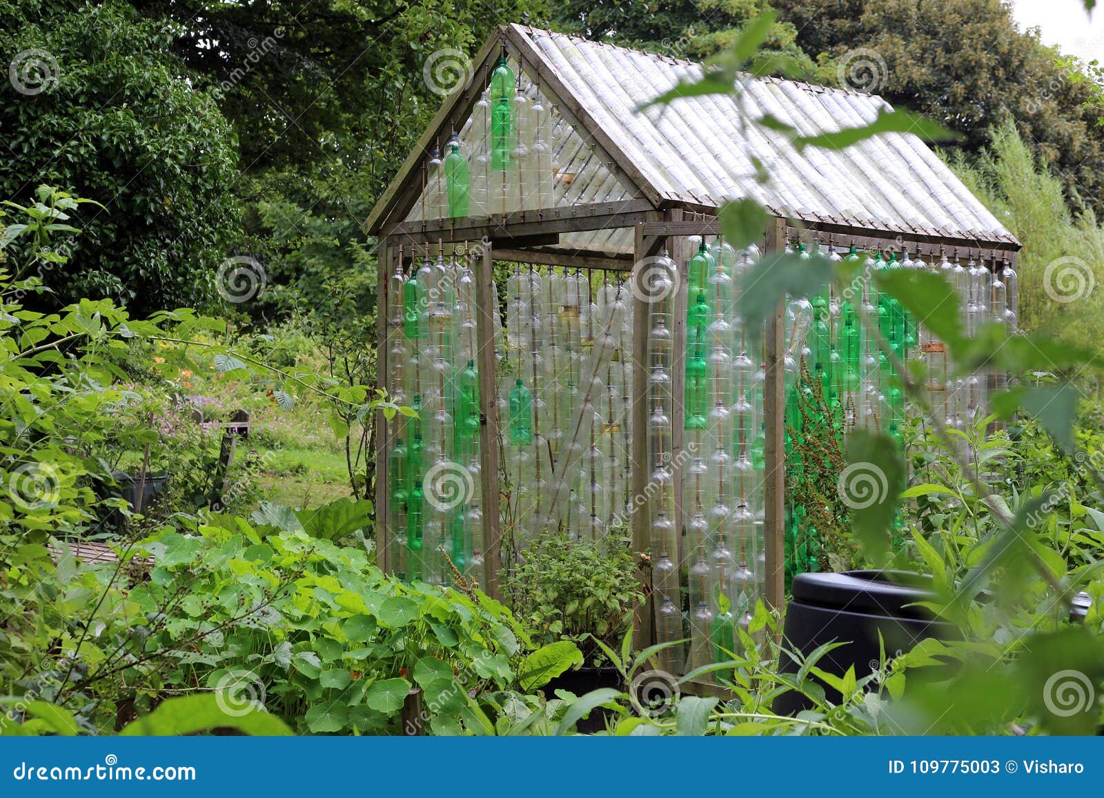 Plastic Bottle Greenhouse stock image. Image of garden 109775003