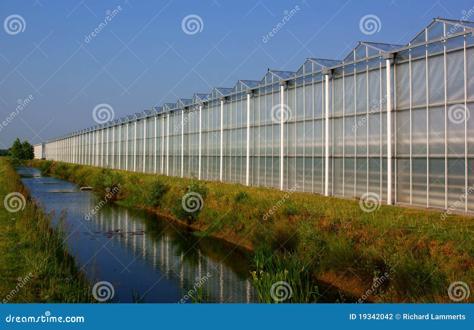 Greenhouse in the Netherlands Stock Photo Image of line, abstract