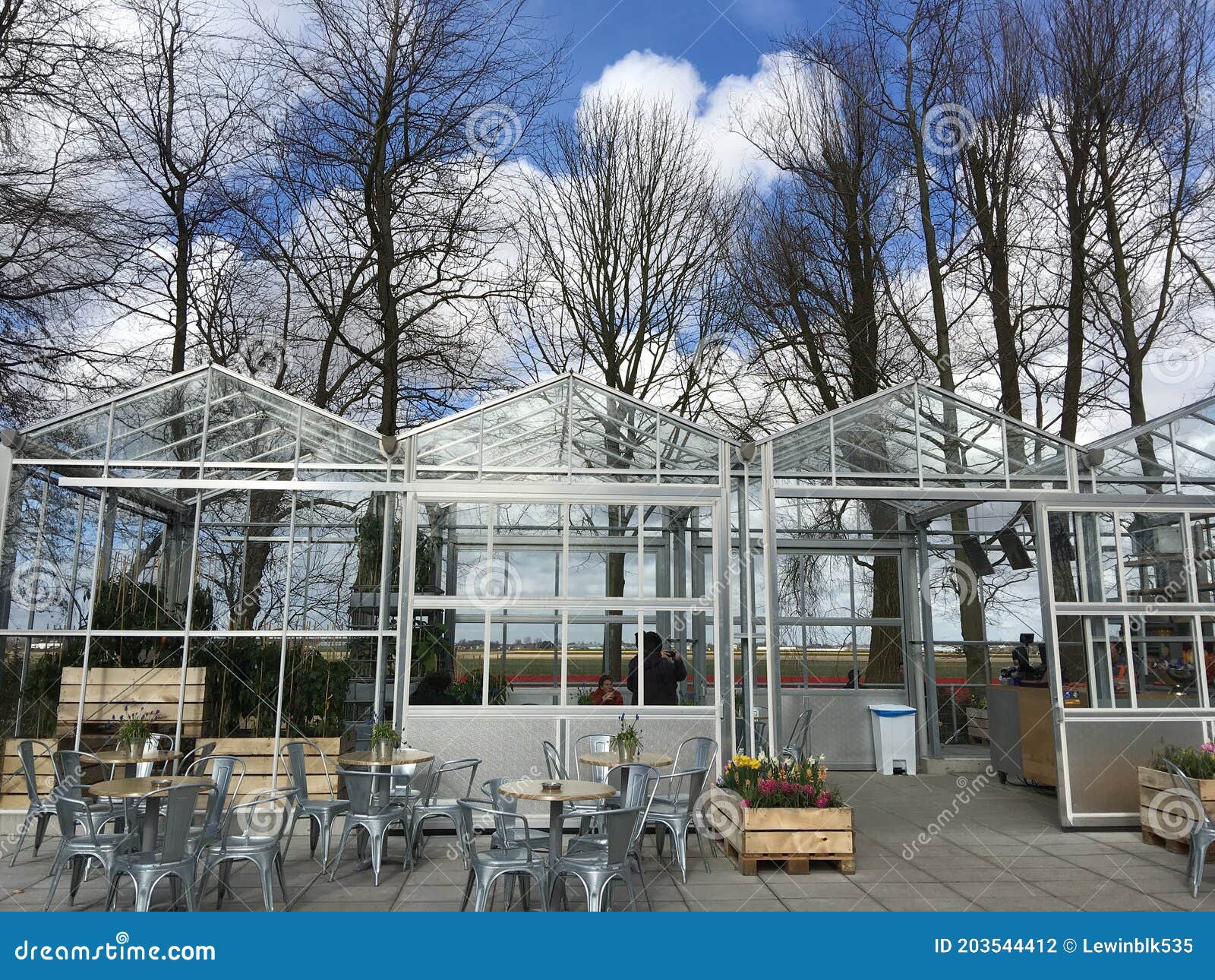 Greenhouse in Netherlands editorial photography. Image of spring