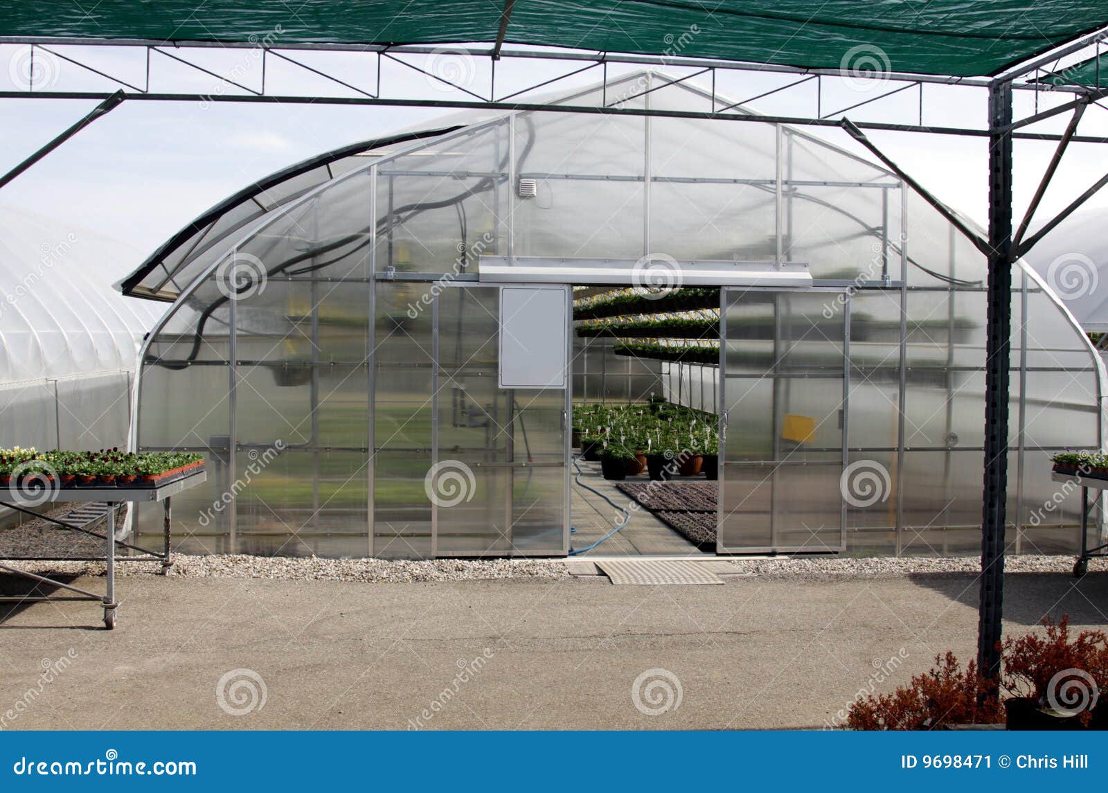 Greenhouse at a Nursery stock image. Image of spring, process 9698471