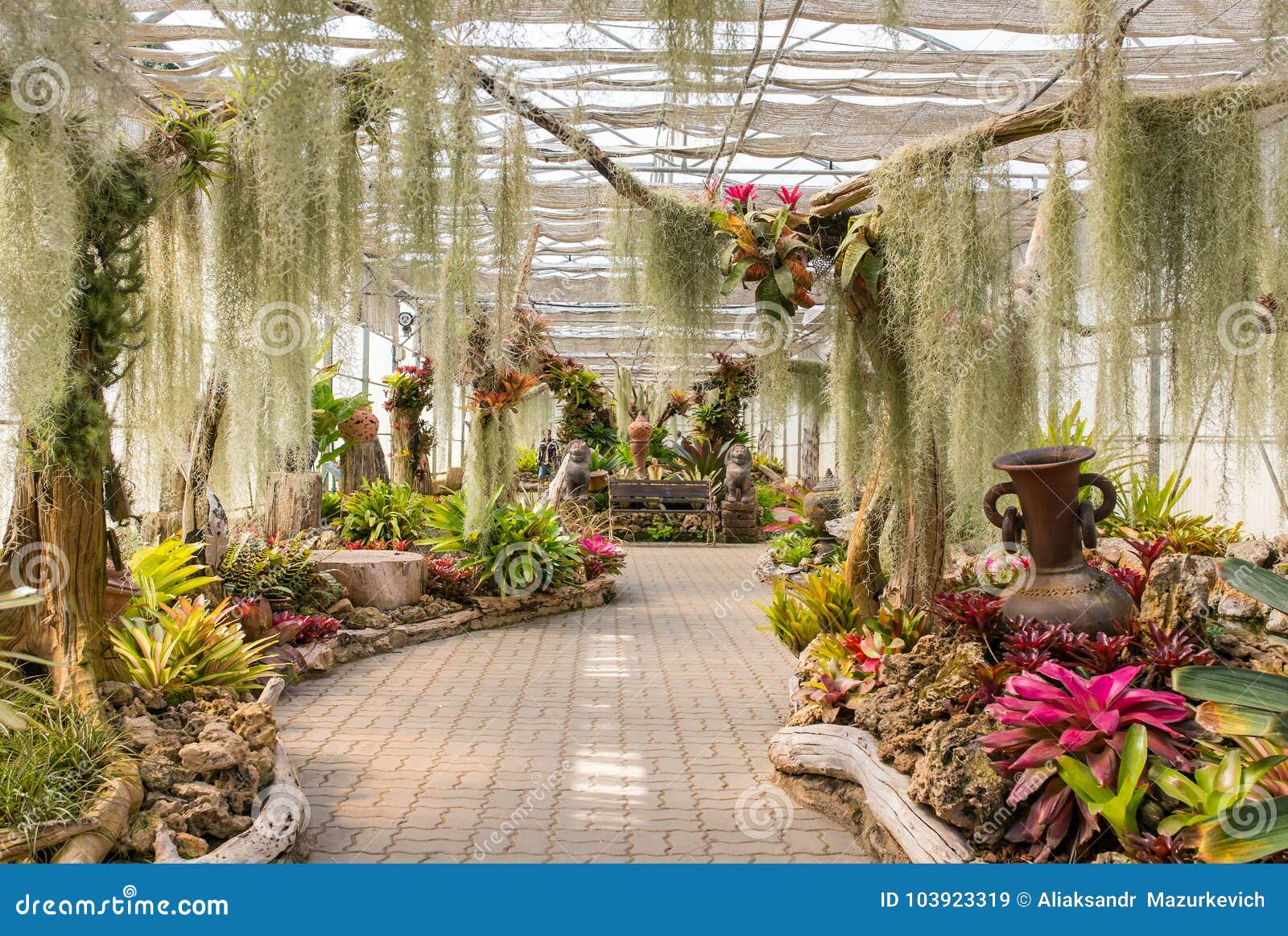 Greenhouse In Queen Sirikit Botanical Garden Chiang Mai Thailand