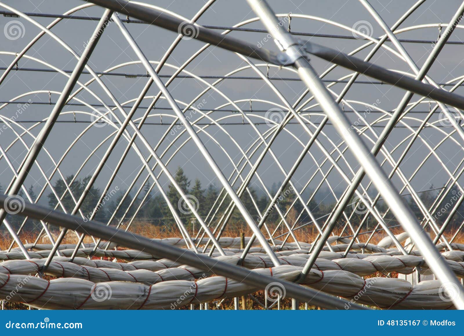 Greenhouse Rib or Poles stock image. Image of greenhouse 48135167