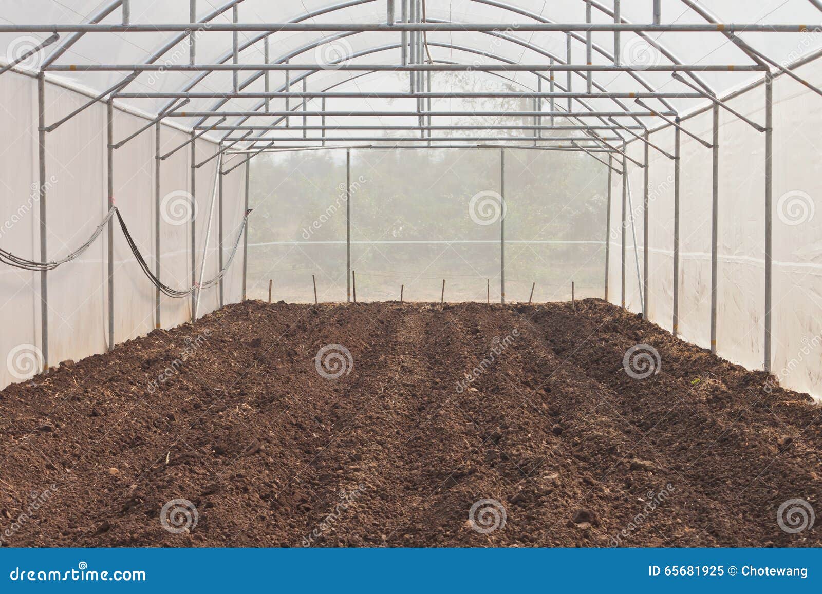 Greenhouse S Soil Preparing Stock Image Image of fertilizer