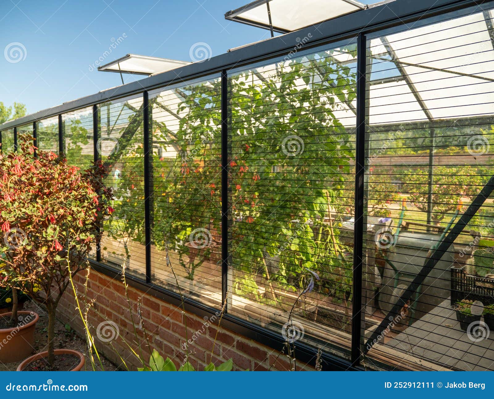 The Interior of a Home Greenhouse for Growing Vegetables. Stock Image