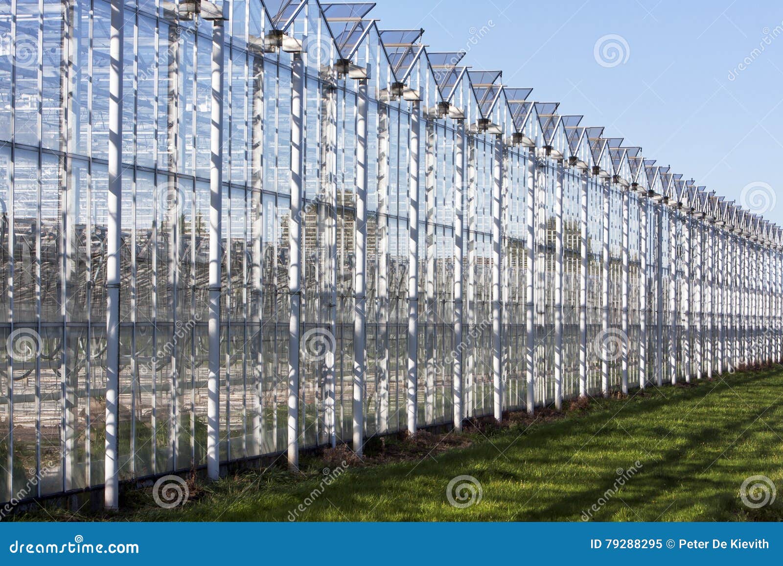 Greenhouse in Westland in the Netherlands Stock Image Image of