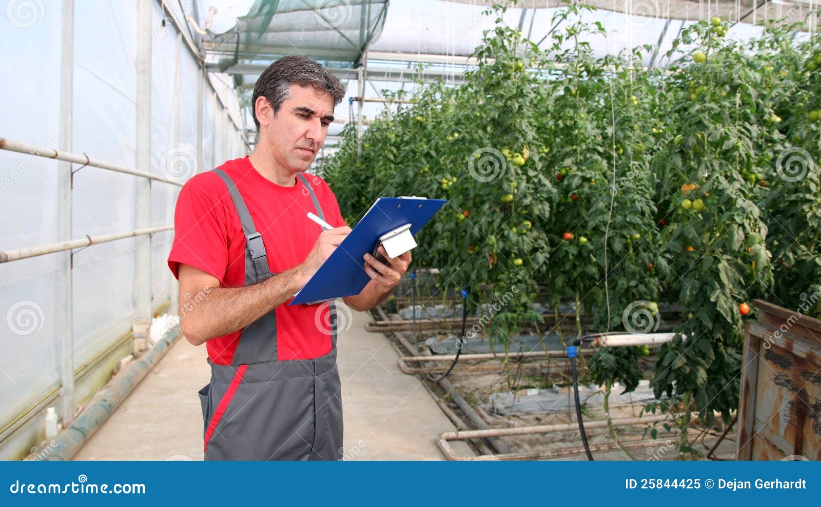 Greenhouse Worker stock image. Image of farming, activity 25844425