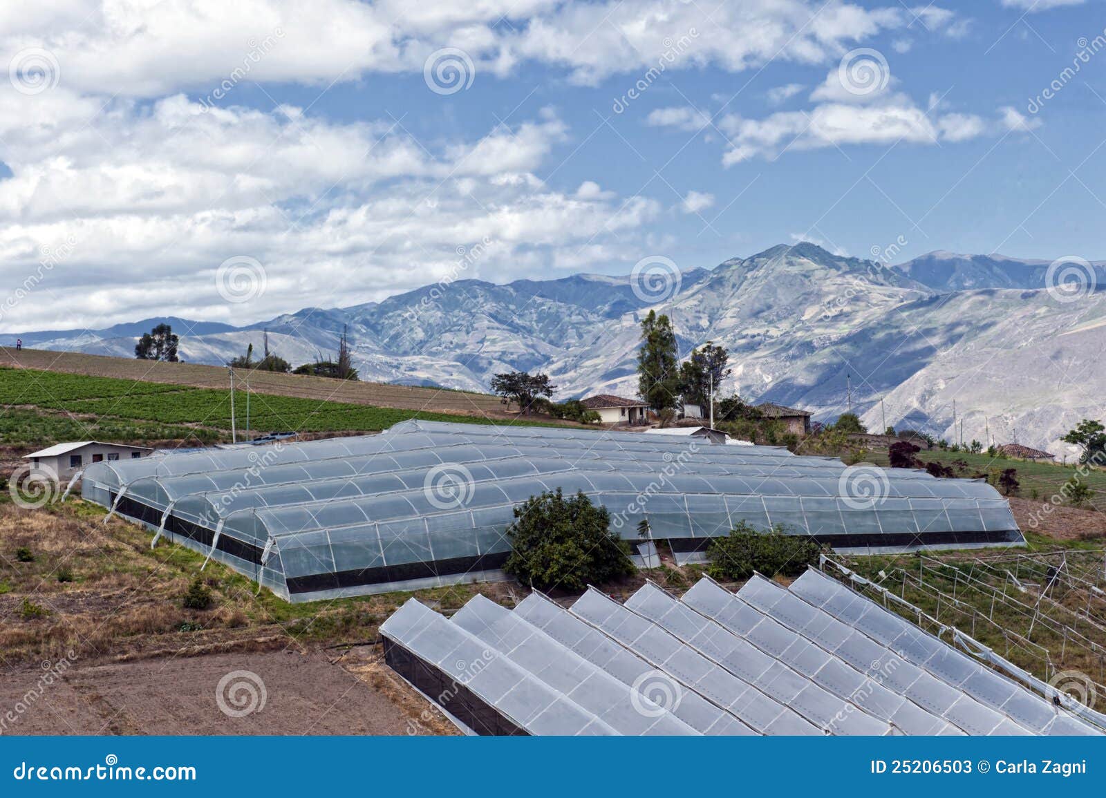 Greenhouses for Agriculture Stock Image Image of america, crop 25206503