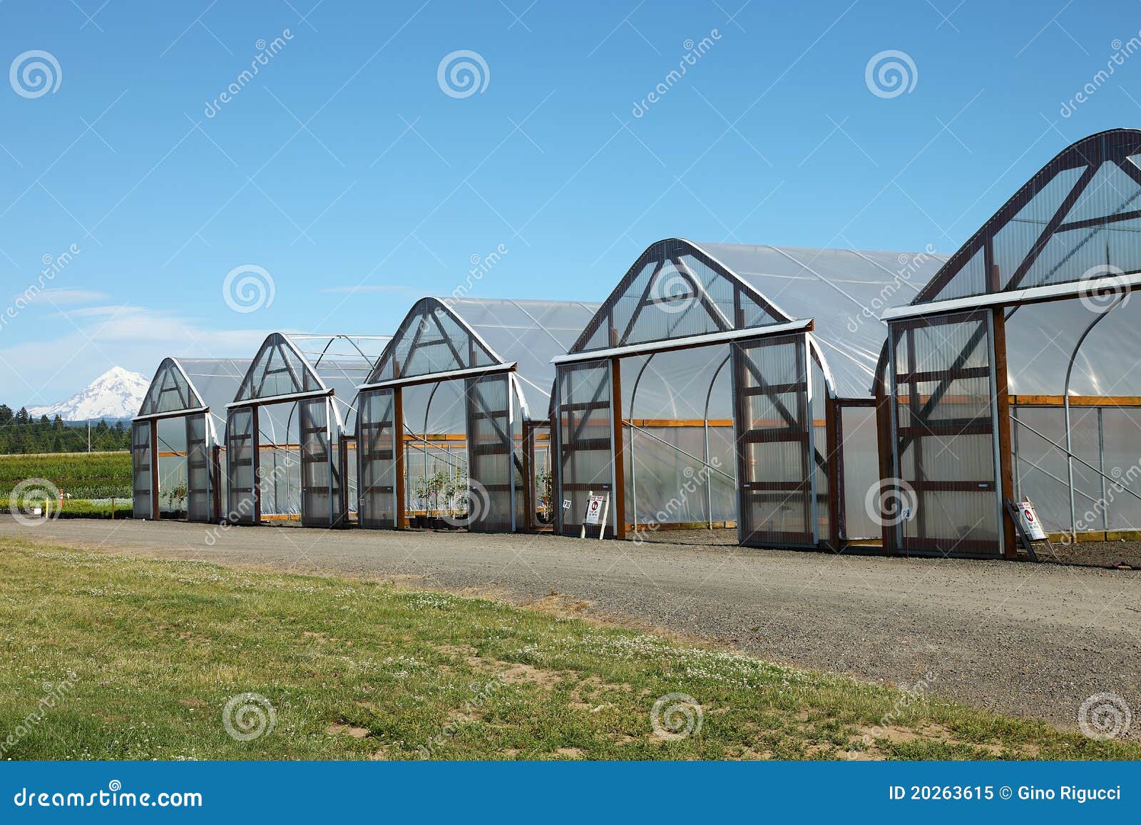 Greenhouses in Rural Oregon. Stock Image Image of area, pipelines 20263615