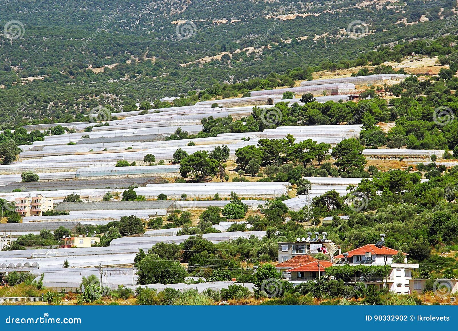 Greenhouses in Turkey stock photo. Image of botanical 90332902