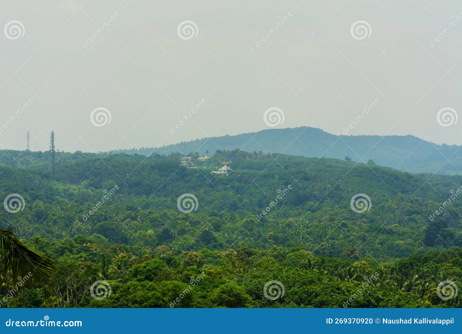 greenish view of kerala