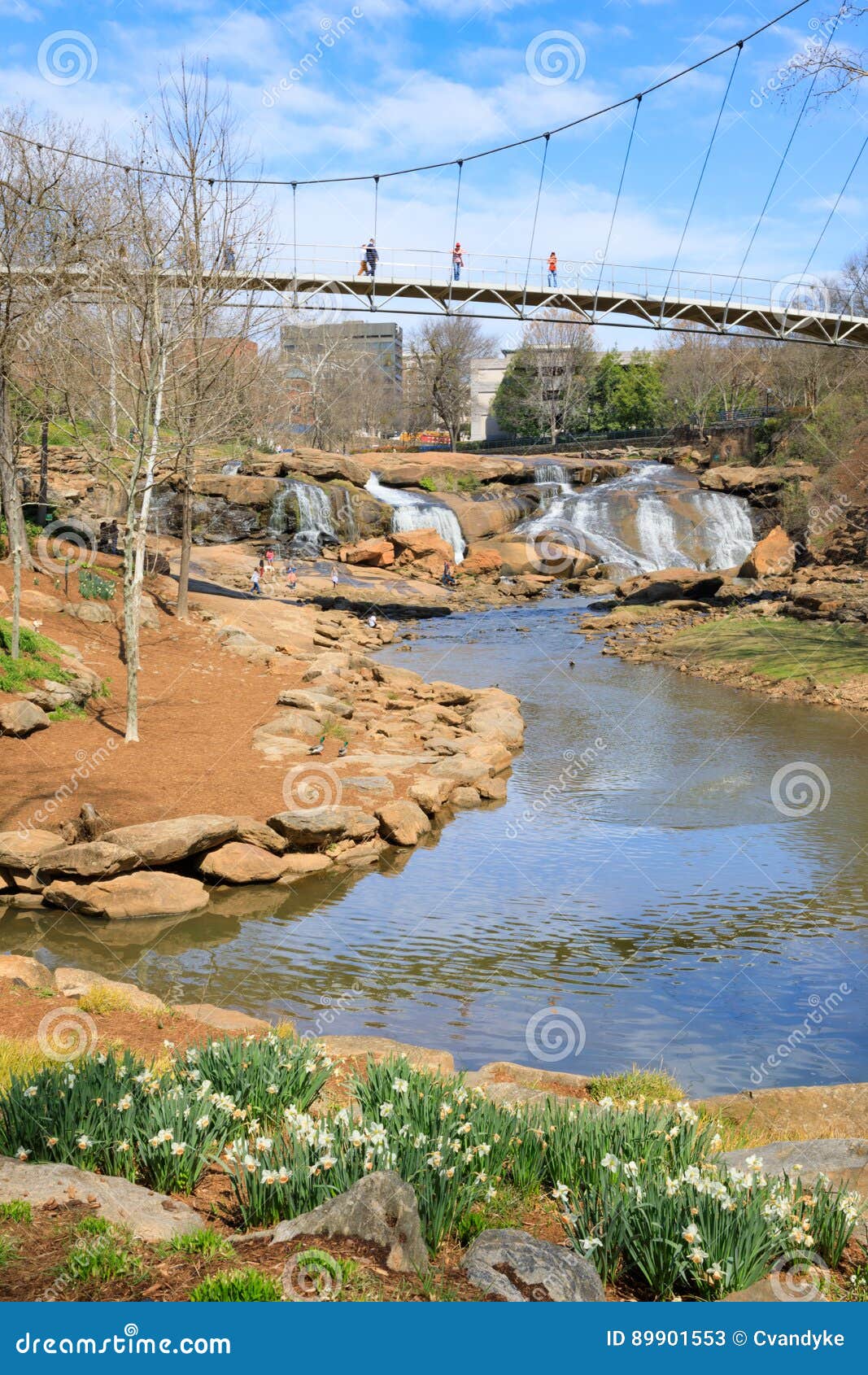 greenville sc liberty bridge falls park reedy river