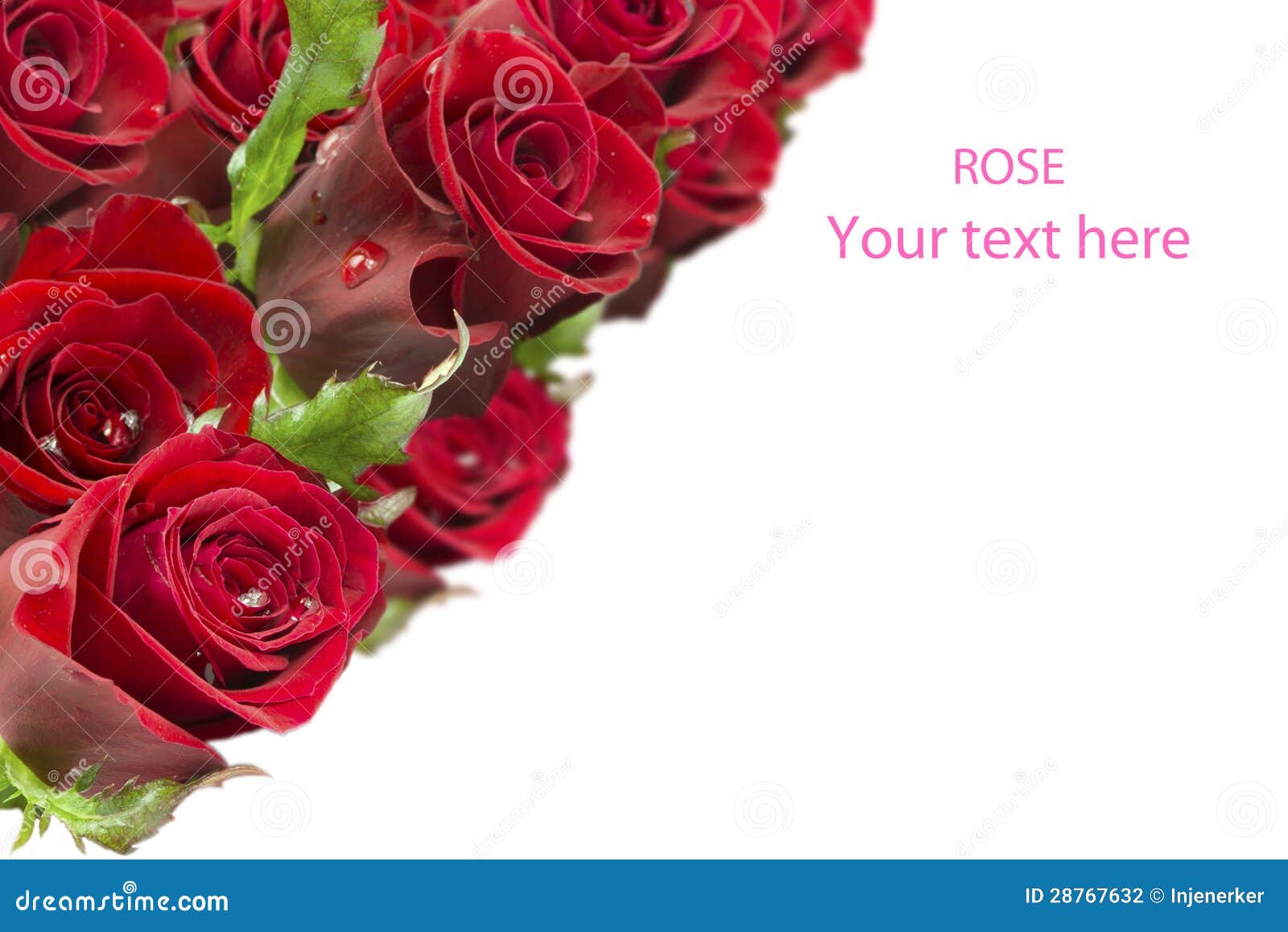 Greeting Card with a Bouquet of Roses Stock Photo Image of seasonal