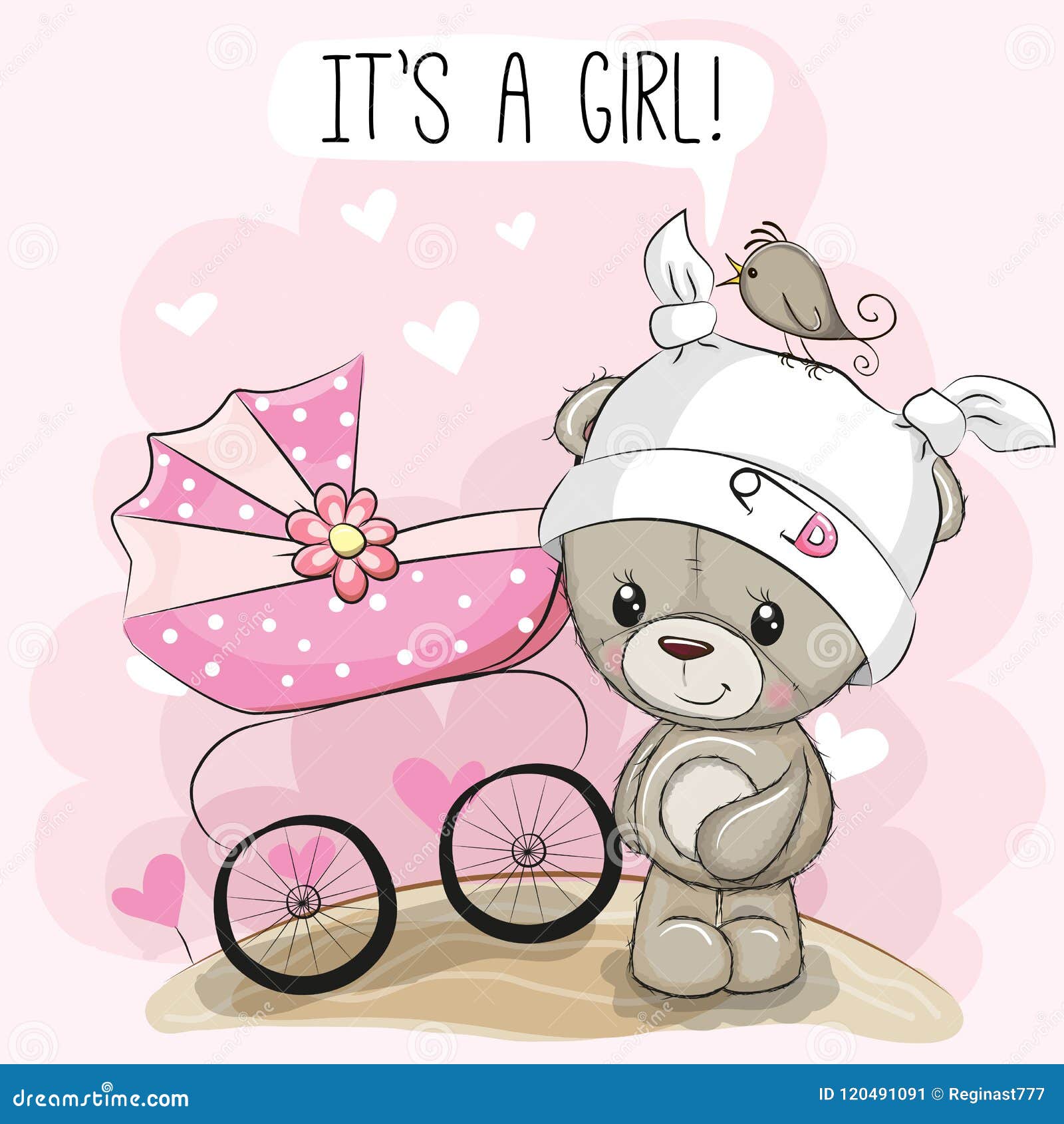 its a girl teddy