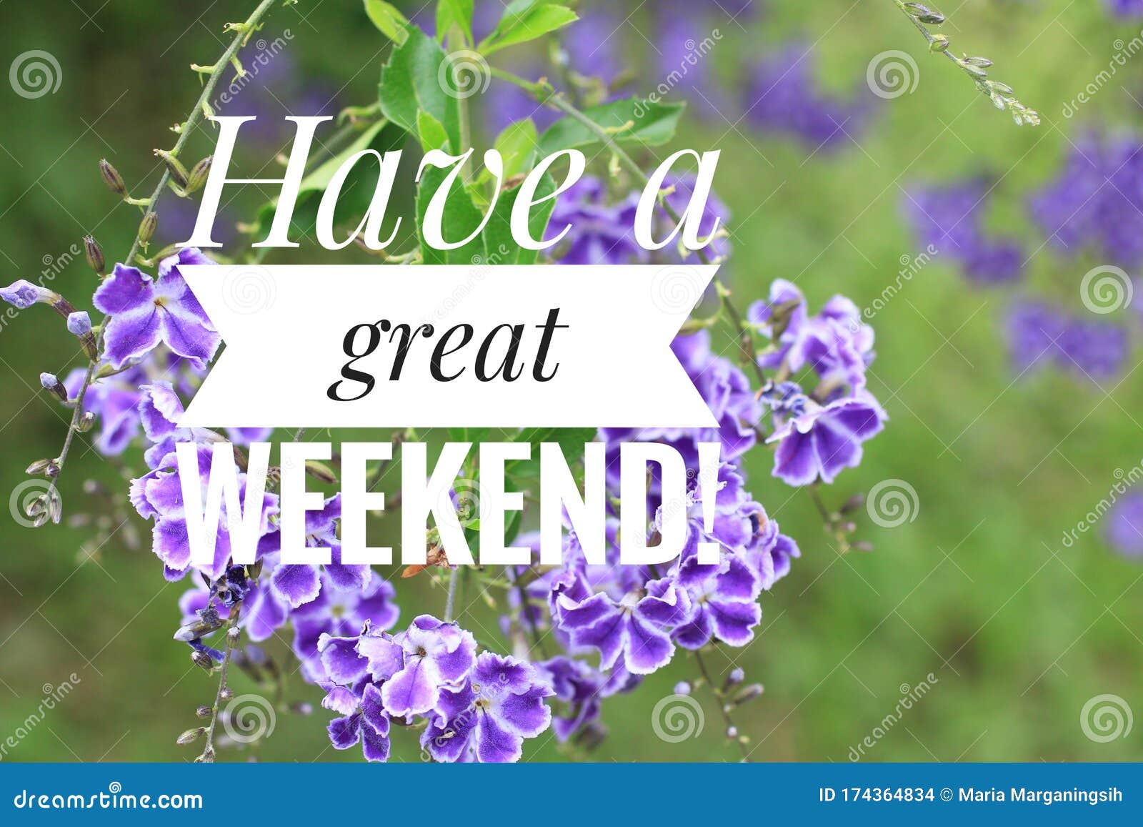 greeting card - have a great weekend. with beautiful purple flowers background. nice weekend concept