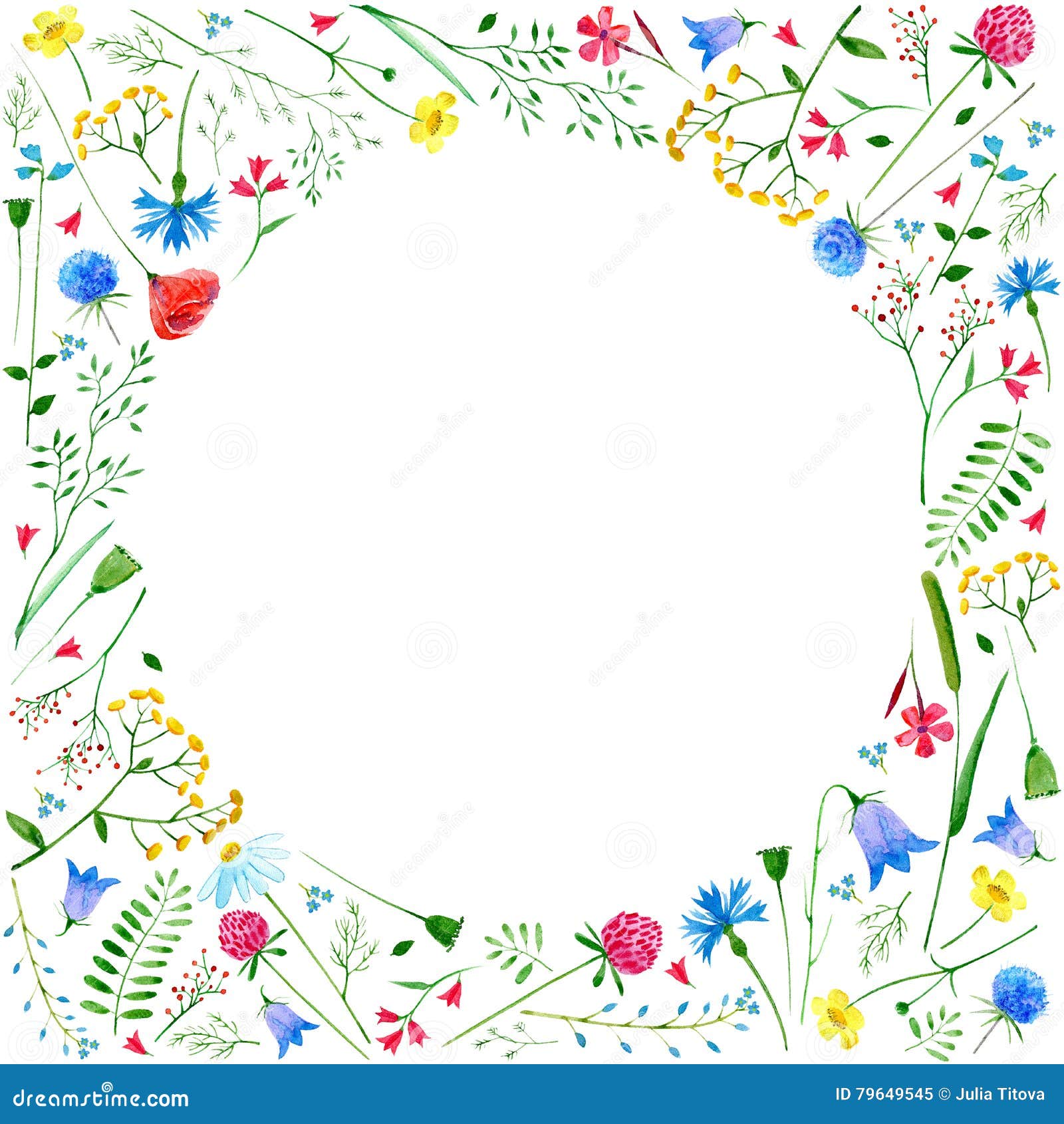 Greeting Card with Meadow Flowers. Stock Illustration - Illustration of ...