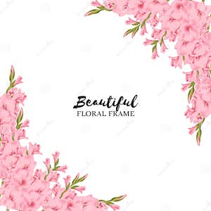 Pink Gladiolus Flower Greeting Card Template Stock Illustration 