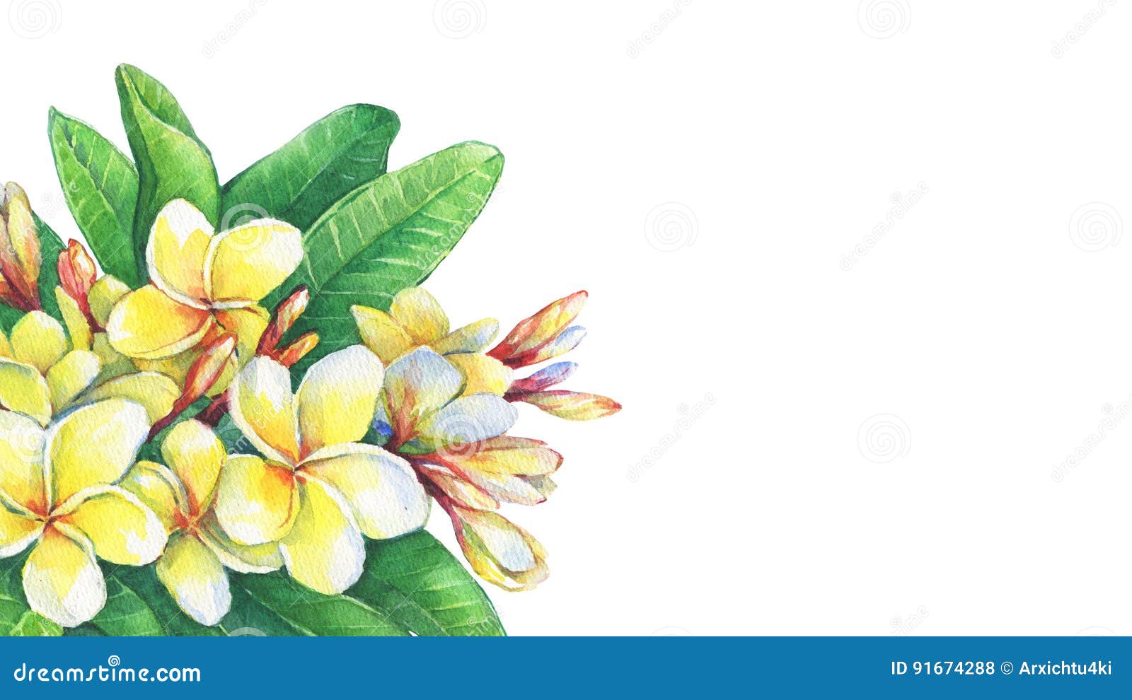 greeting card of tropical resort flowers frangipani plumeria.
