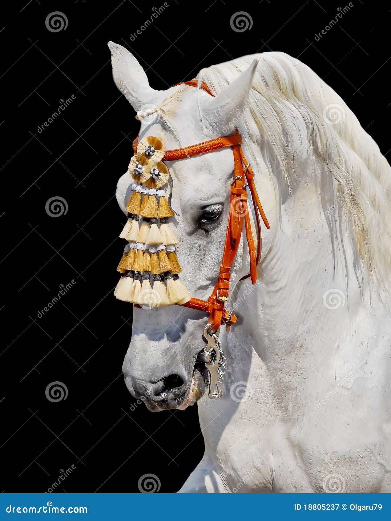 grey andalusian horse spanish decoration