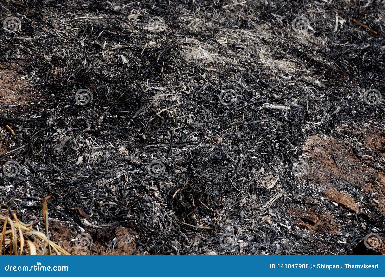 Grey Ashes from the Wood and Grass Background Texture,cinder Stock