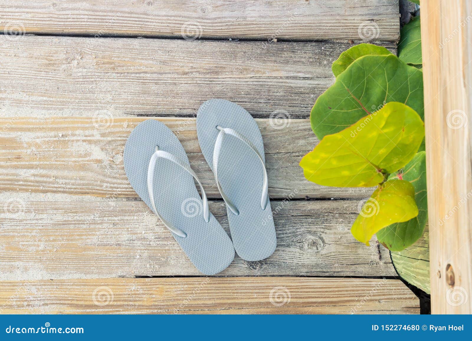 Grey Beach Sandles on a Sunny Beach Boardwalk Stock Photo - Image of ...
