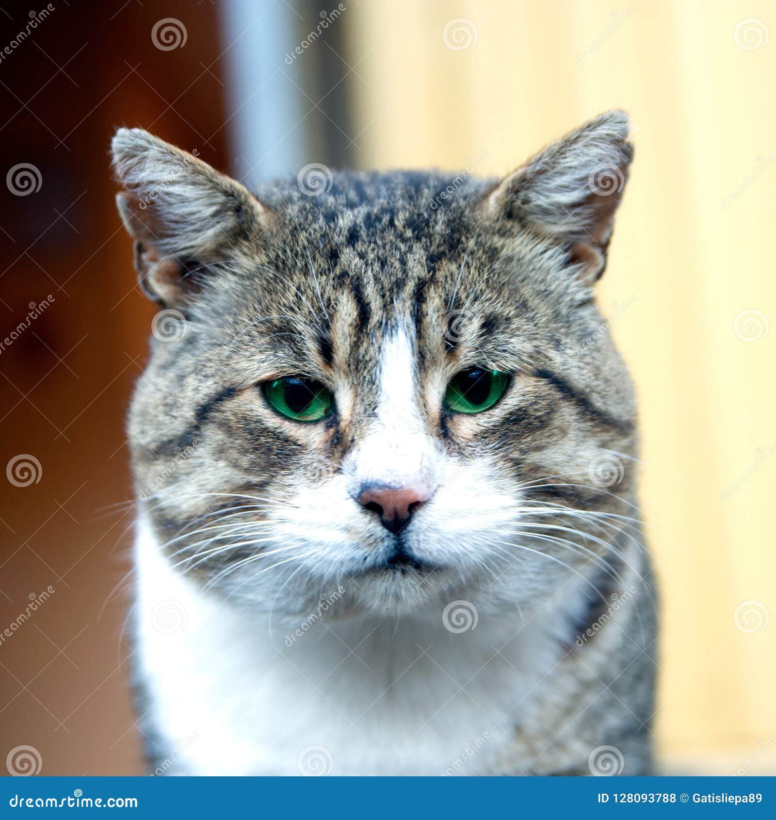 My Image 14