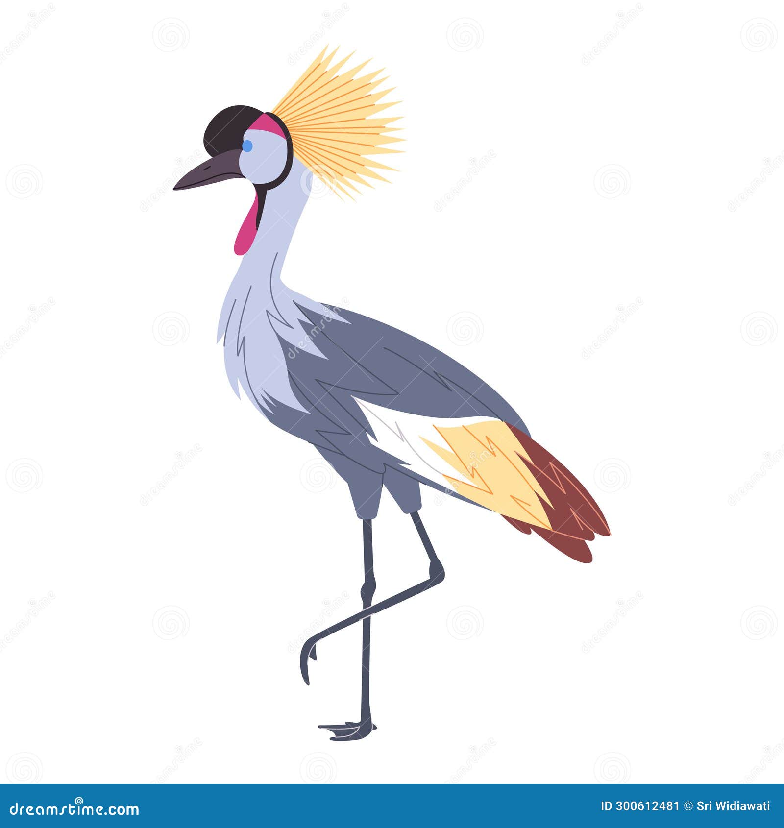 Grey Crowned Crane Wild Nature Animal Have Tall Leg and Crested Head