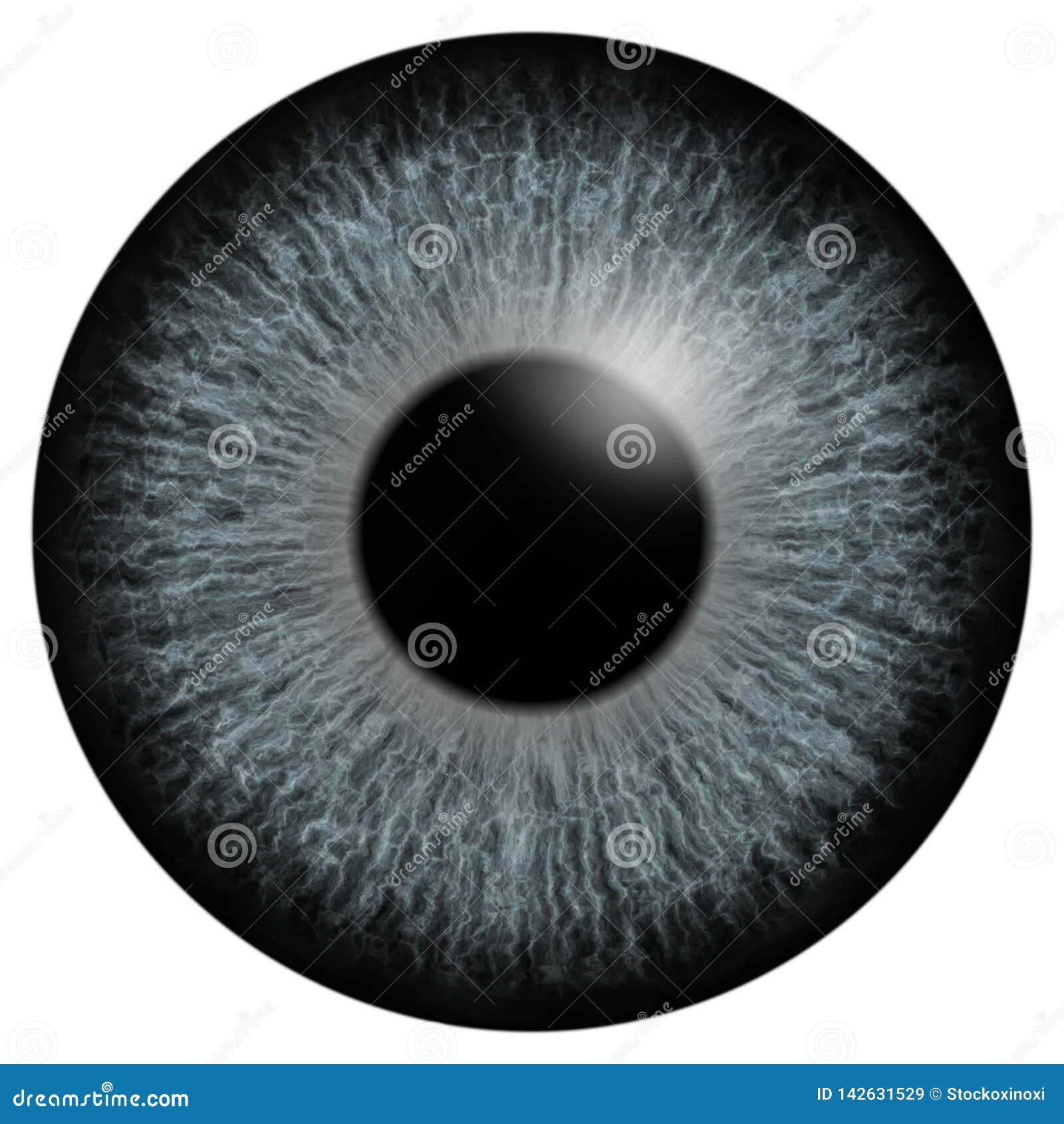 Grey Eye Iris Macro Illustration Stock Illustration Illustration of