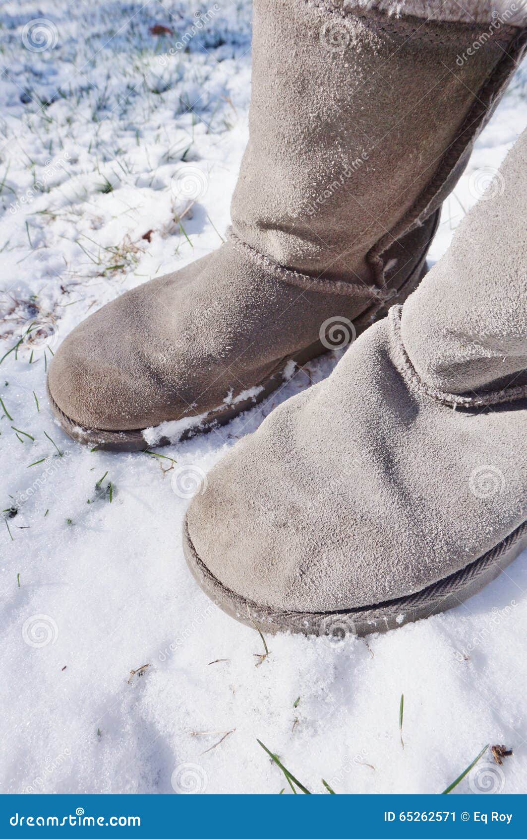 Grey Fuzzy Boots in the Winter Snow Stock Image - Image of fuzzy ...